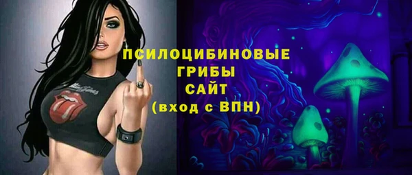 apvp Каменск-Шахтинский