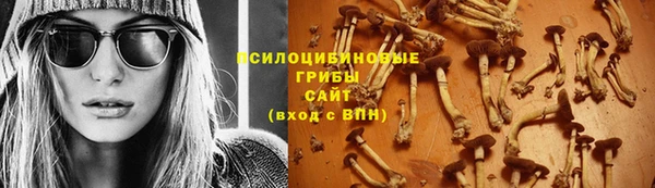 apvp Каменск-Шахтинский